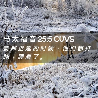 Picture 02 - 马 太 福 音 25:5 CUVS - 新 郎 迟 延 的 时 候 ， 他 们 都 打 - Bible Verse Picture