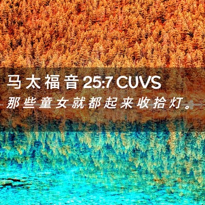 Picture 02 - 马 太 福 音 25:7 CUVS - 那 些 童 女 就 都 起 来 收 拾 灯 - Bible Verse Picture