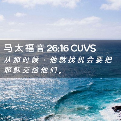Picture 02 - 马 太 福 音 26:16 CUVS - 从 那 时 候 ， 他 就 找 机 会 要 把 - Bible Verse Picture