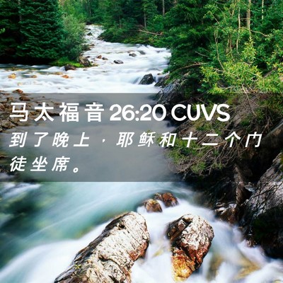 Picture 02 - 马 太 福 音 26:20 CUVS - 到 了 晚 上 ， 耶 稣 和 十 二 个 门 - Bible Verse Picture