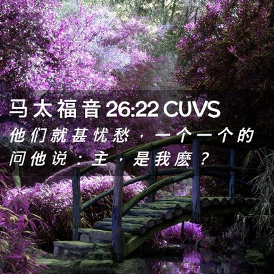 Picture 02 - 马 太 福 音 26:22 CUVS - 他 们 就 甚 忧 愁 ， 一 个 一 个 的 - Bible Verse Picture