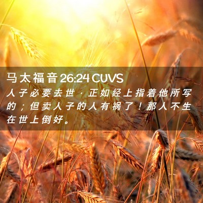 Picture 02 - 马 太 福 音 26:24 CUVS - 人 子 必 要 去 世 ， 正 如 经 上 指 - Bible Verse Picture