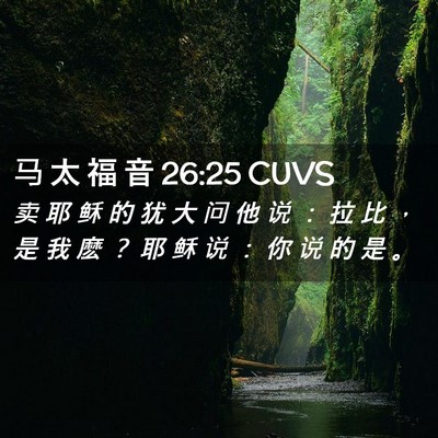 Picture 02 - 马 太 福 音 26:25 CUVS - 卖 耶 稣 的 犹 大 问 他 说 ： 拉 比 - Bible Verse Picture