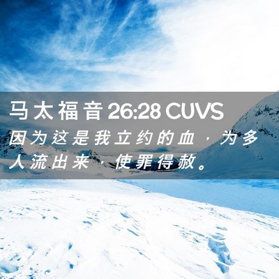 Picture 02 - 马 太 福 音 26:28 CUVS - 因 为 这 是 我 立 约 的 血 ， 为 多 - Bible Verse Picture
