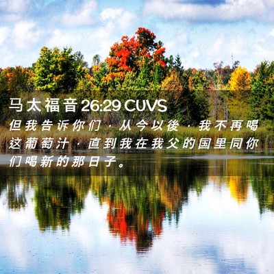Picture 02 - 马 太 福 音 26:29 CUVS - 但 我 告 诉 你 们 ， 从 今 以 後 ， - Bible Verse Picture