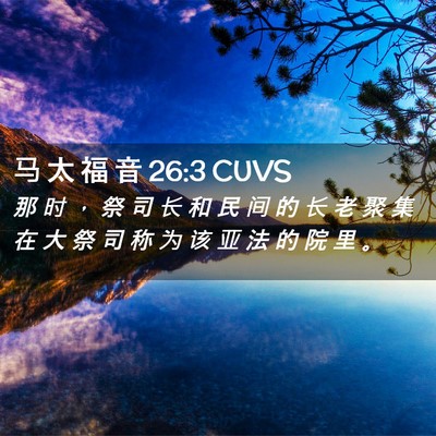 Picture 02 - 马 太 福 音 26:3 CUVS - 那 时 ， 祭 司 长 和 民 间 的 长 老 - Bible Verse Picture
