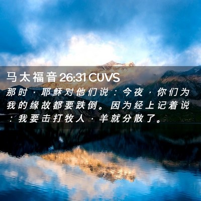 Picture 02 - 马 太 福 音 26:31 CUVS - 那 时 ， 耶 稣 对 他 们 说 ： 今 夜 - Bible Verse Picture
