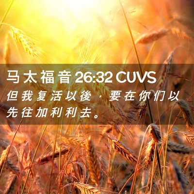 Picture 02 - 马 太 福 音 26:32 CUVS - 但 我 复 活 以 後 ， 要 在 你 们 以 - Bible Verse Picture
