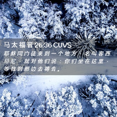 Picture 02 - 马 太 福 音 26:36 CUVS - 耶 稣 同 门 徒 来 到 一 个 地 方 ， - Bible Verse Picture