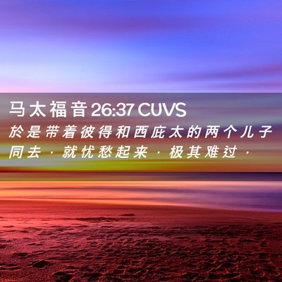 Picture 02 - 马 太 福 音 26:37 CUVS - 於 是 带 着 彼 得 和 西 庇 太 的 两 - Bible Verse Picture