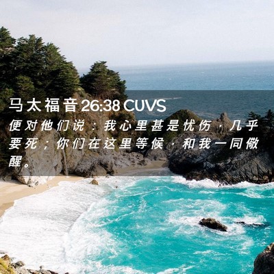 Picture 02 - 马 太 福 音 26:38 CUVS - 便 对 他 们 说 ： 我 心 里 甚 是 忧 - Bible Verse Picture