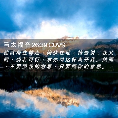 Picture 02 - 马 太 福 音 26:39 CUVS - 他 就 稍 往 前 走 ， 俯 伏 在 地 ， - Bible Verse Picture