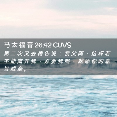Picture 02 - 马 太 福 音 26:42 CUVS - 第 二 次 又 去 祷 告 说 ： 我 父 阿 - Bible Verse Picture