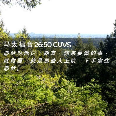 Picture 02 - 马 太 福 音 26:50 CUVS - 耶 稣 对 他 说 ： 朋 友 ， 你 来 要 - Bible Verse Picture