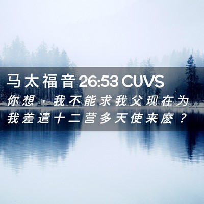 Picture 02 - 马 太 福 音 26:53 CUVS - 你 想 ， 我 不 能 求 我 父 现 在 为 - Bible Verse Picture