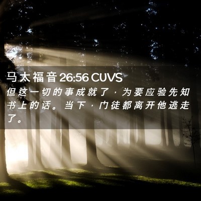 Picture 02 - 马 太 福 音 26:56 CUVS - 但 这 一 切 的 事 成 就 了 ， 为 要 - Bible Verse Picture