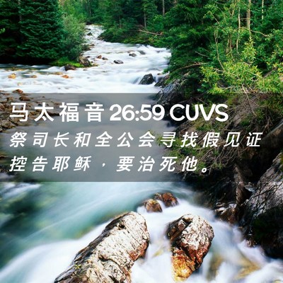Picture 02 - 马 太 福 音 26:59 CUVS - 祭 司 长 和 全 公 会 寻 找 假 见 证 - Bible Verse Picture
