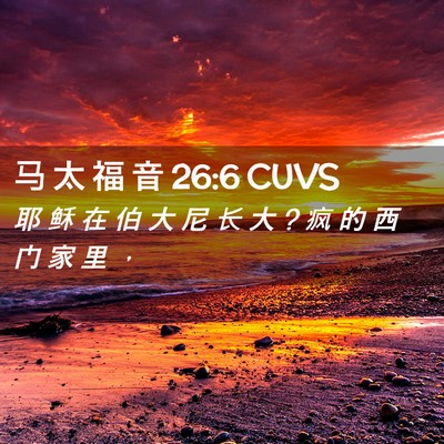 Picture 02 - 马 太 福 音 26:6 CUVS - 耶 稣 在 伯 大 尼 长 大 ? 疯 的 西 门 - Bible Verse Picture