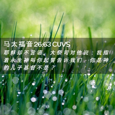 Picture 02 - 马 太 福 音 26:63 CUVS - 耶 稣 却 不 言 语 。 大 祭 司 对 他 - Bible Verse Picture