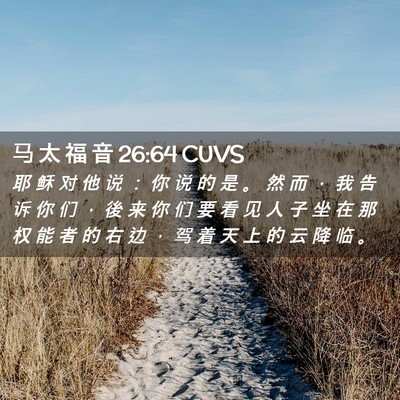 Picture 02 - 马 太 福 音 26:64 CUVS - 耶 稣 对 他 说 ： 你 说 的 是 。 然 - Bible Verse Picture