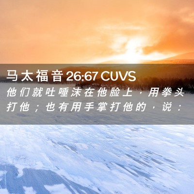 Picture 02 - 马 太 福 音 26:67 CUVS - 他 们 就 吐 唾 沫 在 他 脸 上 ， 用 - Bible Verse Picture