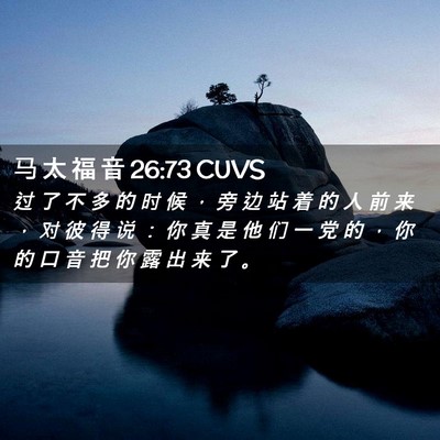 Picture 02 - 马 太 福 音 26:73 CUVS - 过 了 不 多 的 时 候 ， 旁 边 站 着 - Bible Verse Picture