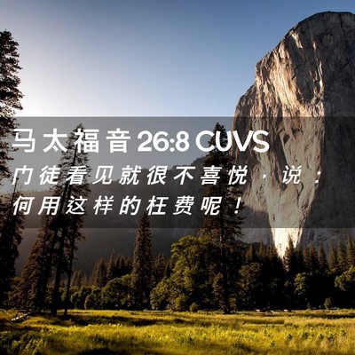 Picture 02 - 马 太 福 音 26:8 CUVS - 门 徒 看 见 就 很 不 喜 悦 ， 说 ： - Bible Verse Picture