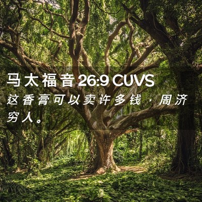 Picture 02 - 马 太 福 音 26:9 CUVS - 这 香 膏 可 以 卖 许 多 钱 ， 周 济 - Bible Verse Picture