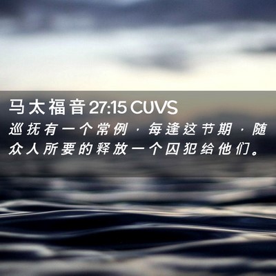 Picture 02 - 马 太 福 音 27:15 CUVS - 巡 抚 有 一 个 常 例 ， 每 逢 这 节 - Bible Verse Picture
