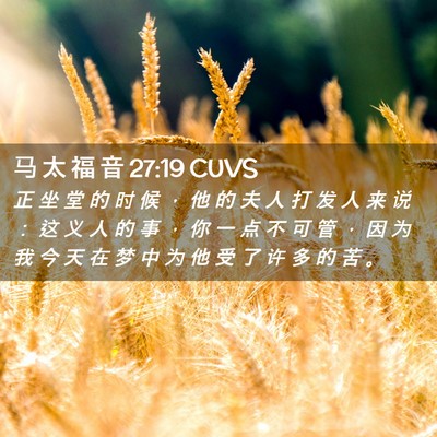 Picture 02 - 马 太 福 音 27:19 CUVS - 正 坐 堂 的 时 候 ， 他 的 夫 人 打 - Bible Verse Picture