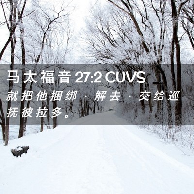 Picture 02 - 马 太 福 音 27:2 CUVS - 就 把 他 捆 绑 ， 解 去 ， 交 给 巡 - Bible Verse Picture