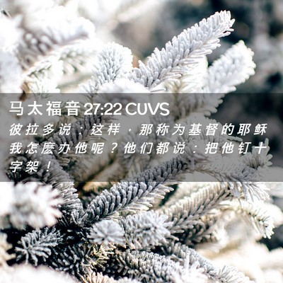 Picture 02 - 马 太 福 音 27:22 CUVS - 彼 拉 多 说 ： 这 样 ， 那 称 为 基 - Bible Verse Picture