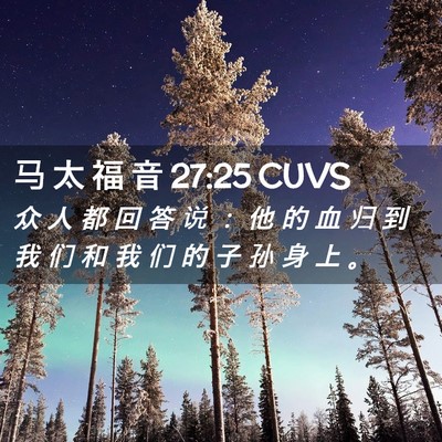 Picture 02 - 马 太 福 音 27:25 CUVS - 众 人 都 回 答 说 ： 他 的 血 归 到 - Bible Verse Picture