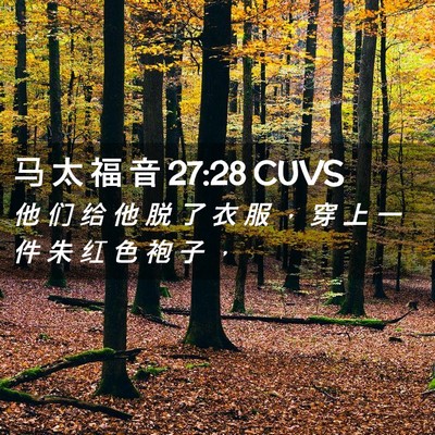 Picture 02 - 马 太 福 音 27:28 CUVS - 他 们 给 他 脱 了 衣 服 ， 穿 上 一 - Bible Verse Picture