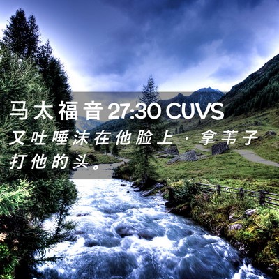 Picture 02 - 马 太 福 音 27:30 CUVS - 又 吐 唾 沫 在 他 脸 上 ， 拿 苇 子 - Bible Verse Picture