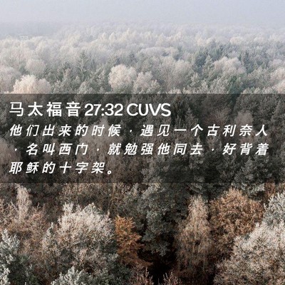 Picture 02 - 马 太 福 音 27:32 CUVS - 他 们 出 来 的 时 候 ， 遇 见 一 个 - Bible Verse Picture