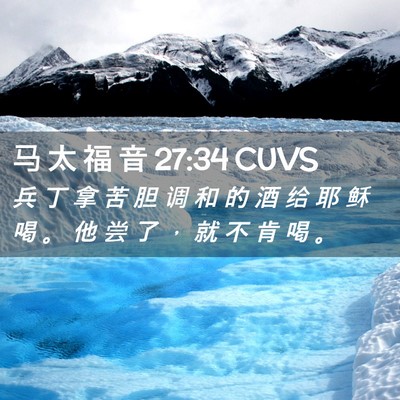 Picture 02 - 马 太 福 音 27:34 CUVS - 兵 丁 拿 苦 胆 调 和 的 酒 给 耶 稣 - Bible Verse Picture