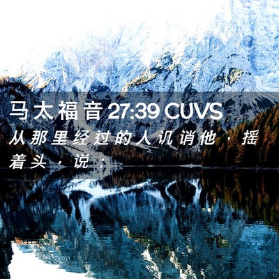 Picture 02 - 马 太 福 音 27:39 CUVS - 从 那 里 经 过 的 人 讥 诮 他 ， 摇 - Bible Verse Picture