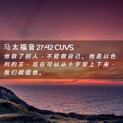 Picture 02 - 马 太 福 音 27:42 CUVS - 他 救 了 别 人 ， 不 能 救 自 己 。 - Bible Verse Picture