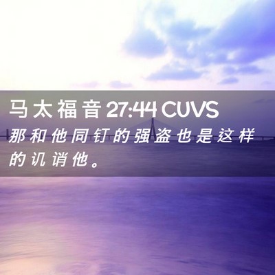 Picture 02 - 马 太 福 音 27:44 CUVS - 那 和 他 同 钉 的 强 盗 也 是 这 样 - Bible Verse Picture