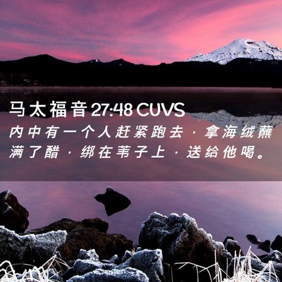 Picture 02 - 马 太 福 音 27:48 CUVS - 内 中 有 一 个 人 赶 紧 跑 去 ， 拿 - Bible Verse Picture