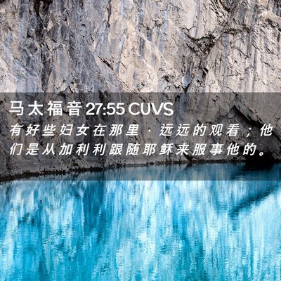 Picture 02 - 马 太 福 音 27:55 CUVS - 有 好 些 妇 女 在 那 里 ， 远 远 的 - Bible Verse Picture