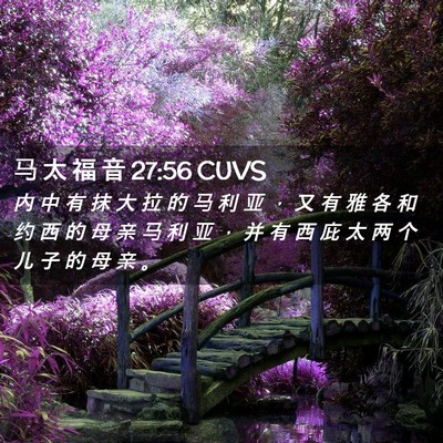 Picture 02 - 马 太 福 音 27:56 CUVS - 内 中 有 抹 大 拉 的 马 利 亚 ， 又 - Bible Verse Picture