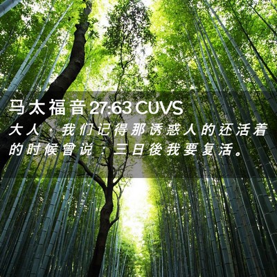Picture 02 - 马 太 福 音 27:63 CUVS - 大 人 ， 我 们 记 得 那 诱 惑 人 的 - Bible Verse Picture