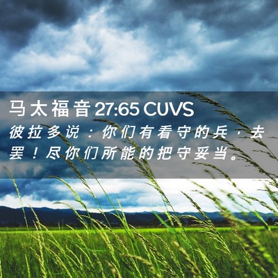 Picture 02 - 马 太 福 音 27:65 CUVS - 彼 拉 多 说 ： 你 们 有 看 守 的 兵 - Bible Verse Picture