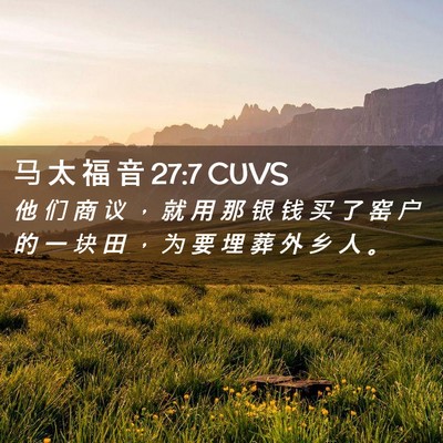 Picture 02 - 马 太 福 音 27:7 CUVS - 他 们 商 议 ， 就 用 那 银 钱 买 了 - Bible Verse Picture