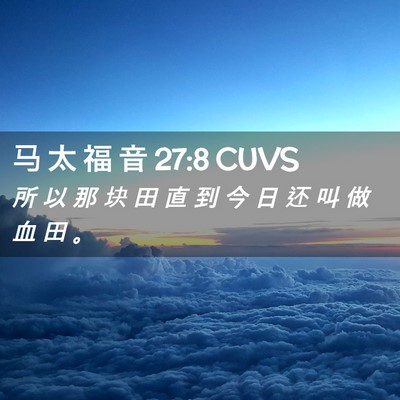 Picture 02 - 马 太 福 音 27:8 CUVS - 所 以 那 块 田 直 到 今 日 还 叫 做 - Bible Verse Picture