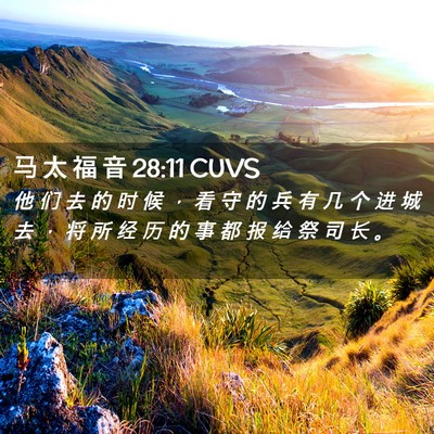 Picture 02 - 马 太 福 音 28:11 CUVS - 他 们 去 的 时 候 ， 看 守 的 兵 有 - Bible Verse Picture