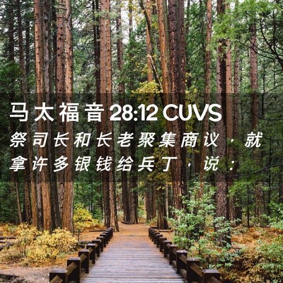 Picture 02 - 马 太 福 音 28:12 CUVS - 祭 司 长 和 长 老 聚 集 商 议 ， 就 - Bible Verse Picture