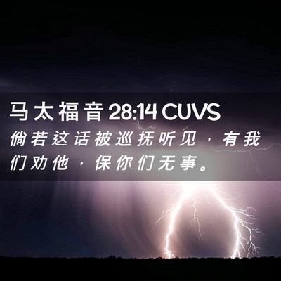 Picture 02 - 马 太 福 音 28:14 CUVS - 倘 若 这 话 被 巡 抚 听 见 ， 有 我 - Bible Verse Picture